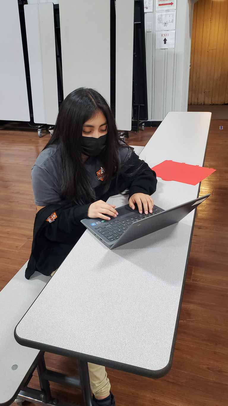 Student working on laptop